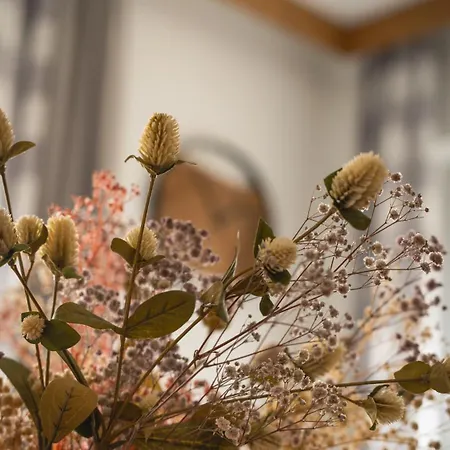 Mountain&river Park Lejlighed *