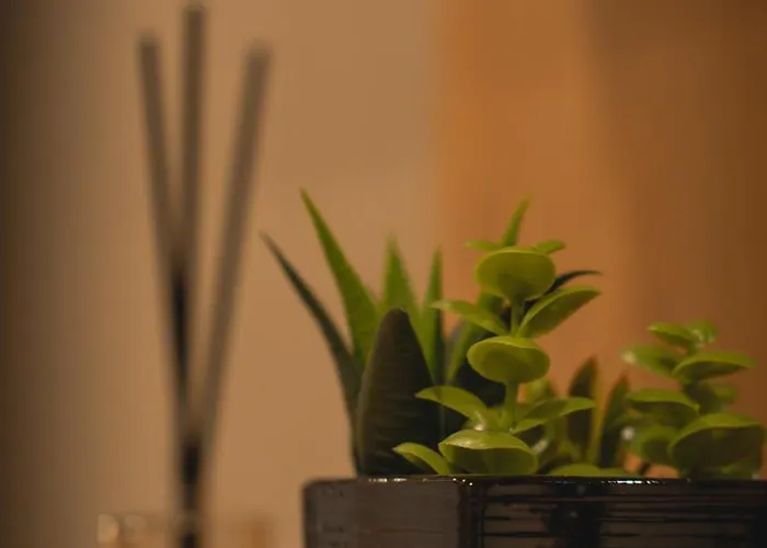 Mountain&river Park Wisla