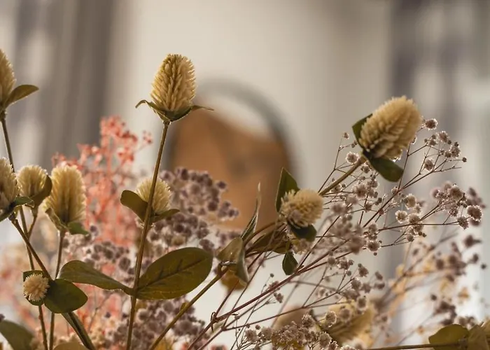 Mountain&river Park Apartment *